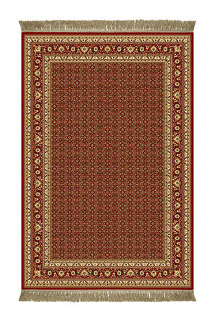 CARPET